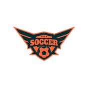 Soccer football club logo template